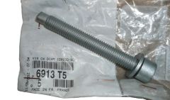 Polt 10X150-80 Uus Originaal 6913.T5 6913T5 Citroen Peugeot