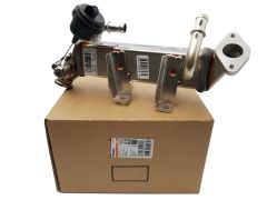 EGR Jahuti Renault Espace Laguna Master 3 2.0-2.3 dCi CE19000P