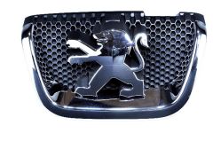 Embleem Ees Originaal Peugeot 407 7810k8