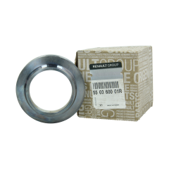 Vedru Kinnitus Taga Uus Originaal 550360001R Renault