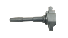 Süütepool 224332428R Eldor 1.2 TCE Renault Dacia Nissan