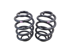 Vedruamort Taga Komplekt 7700839338 Renault Clio 2