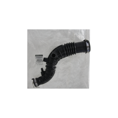 Õhuvoolik Originaal 165761904R Renault