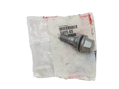 Rattapolt Citroen Peugeot 540565 5405.65 19MM Originaal