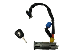 Süütelukk Peugeot 206 N0501539 4162Z1 Valeo 1015