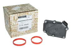 Gaasiklapi ventiil Uus Originaal 1611800Q0N 161A06251R Renault Nissan