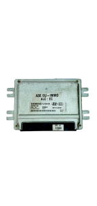 Juhtplokk 5WY5712A 39110-2X547 SIMK42 KIA Siemens 21960
