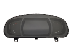 Spidomeeter Renault Scenic 4 248100254R 7734