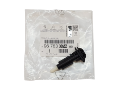 Pesuri Düüs Originaal Citroen C4 Picasso 9676307480
