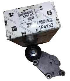 Pinguti Originaal 5751.H6 5751H6 Citroen Peugeot