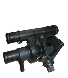Termostaadi Korpus Renault Espace IV 2,2 DCI 8200154296