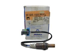 Lambdasond Chevrolet GMC 12599866 ACDelco