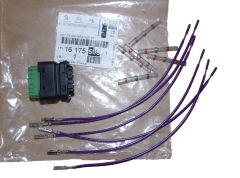 Pistik Uus Originaal 1617550580 Citroen Peugeot