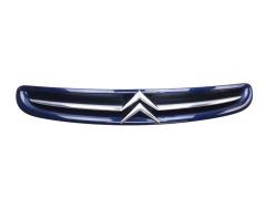 Radiaatorivõre 7804J7 9632099177 Citroen Xsara Picasso 99-03 1013