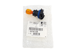 Pirn Citroen Peugeot Renault HP24W 6216G6 Originaal