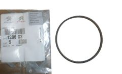 Tihend, tihendusrõngas Pompy Wody Uus Originaal 1206.G3 1206G3 Citroen Peugeot