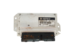 Juhtplokk 9030930496FH3 39110-02055 SAE4IS13 KIA Kefico 37841