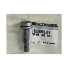 Sissepritsedüüsi Kinnituspoldid Uus Originaal 166626868R Renault