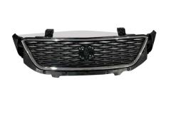 Radiaatorivõre Tehke Seat Toledo 6JA853668A 88531851402 DPA