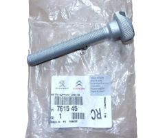 Polt Uus Originaal 7615.45 761545 Citroen Peugeot