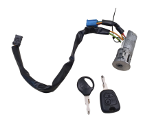 Süütelukk N0501539 4162Z1 Peugeot 206 Valeo 1014