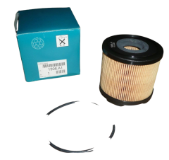 Kütusefilter Originaal Citroen Peugeot 206 306 406 2.0-2.2HDI 1906A1