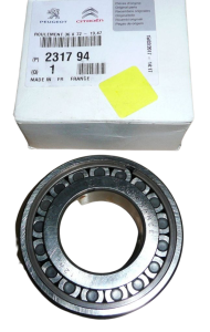 Laager Uus Originaal Citroen Peugeot BE4 36X72-19.47 231794