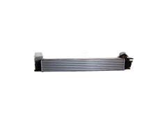 Vahejahuti REN 144960600R