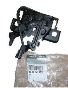 Pagasiluugi Lukk Originaal Dacia Logan 656013486R