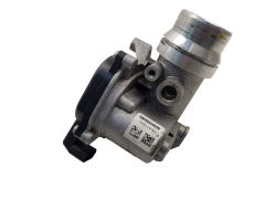 Gaasiklapi ventiil Dacia Renault 161A09287R 1.5 DCI 3476
