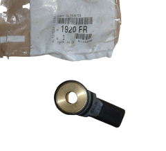 Detonatsiooniandurid Originaal Citroen Peugeot C2 C3 206 1920FR