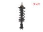 Amortisaator Ees 543023828R 540100864R 93463333 Renault Trafic 3 2.0 DCI
