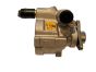 Roolivõimendi Pump Master II Trafic Laguna 2.0 PV-D021 OE 491102294R