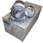 Starter Originaal 233004003R Renault