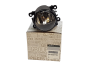 Halogeenlamp Renault Dacia 261503971R Originaal