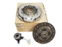 Sidurikomplekt Renault 302180385R Originaal