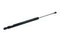 Pakiruumi amortisaator 5G9827550 B14193 VW Golf 7 Borsehung