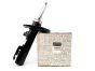 Amortisaator Ees Originaal Renault Megane III RS 2.0 TCe 543020053R