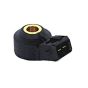 Detonatsiooniandurid Uus Renault Megane 1.6 TCe 220601KT0A